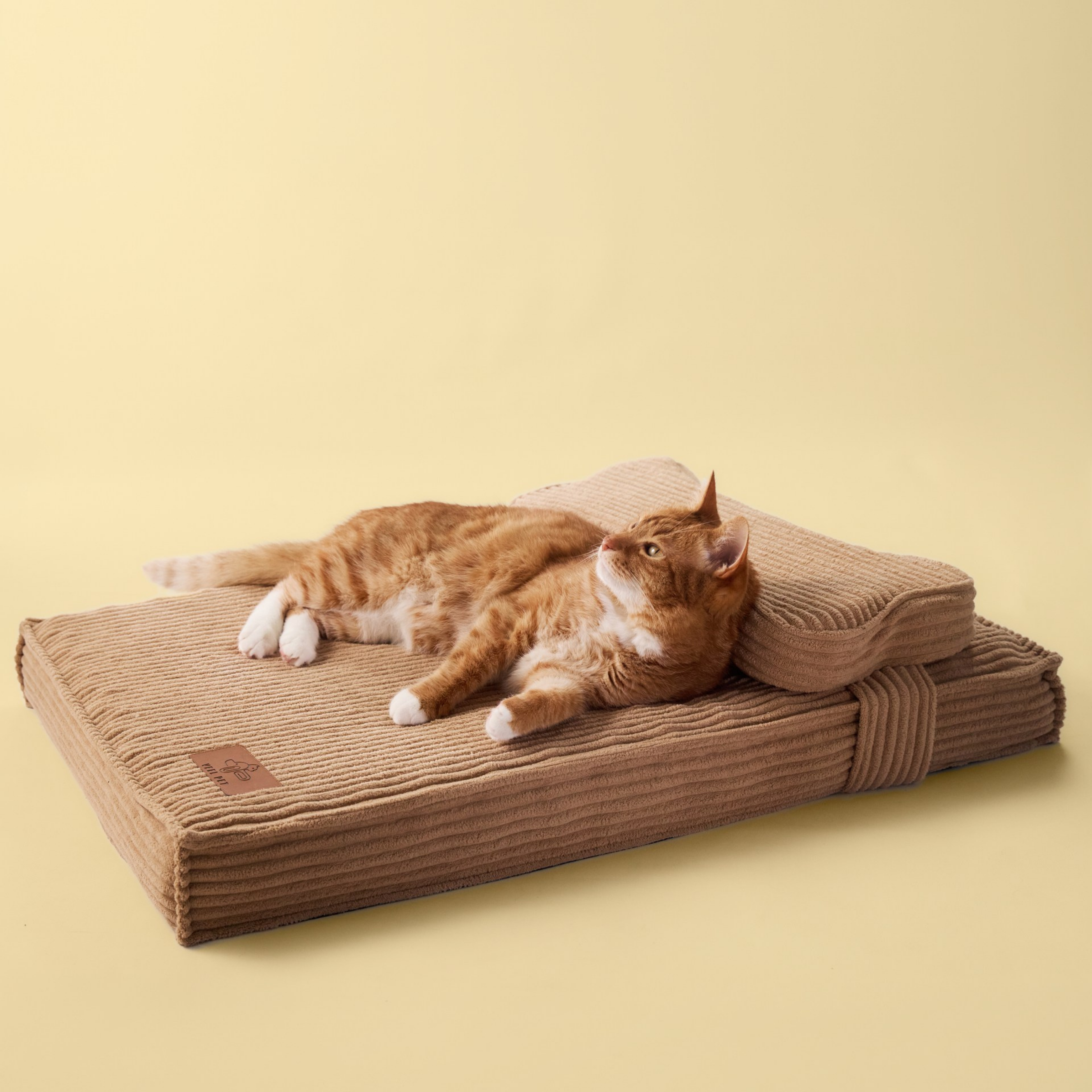 Cama Hueso Gato Medium