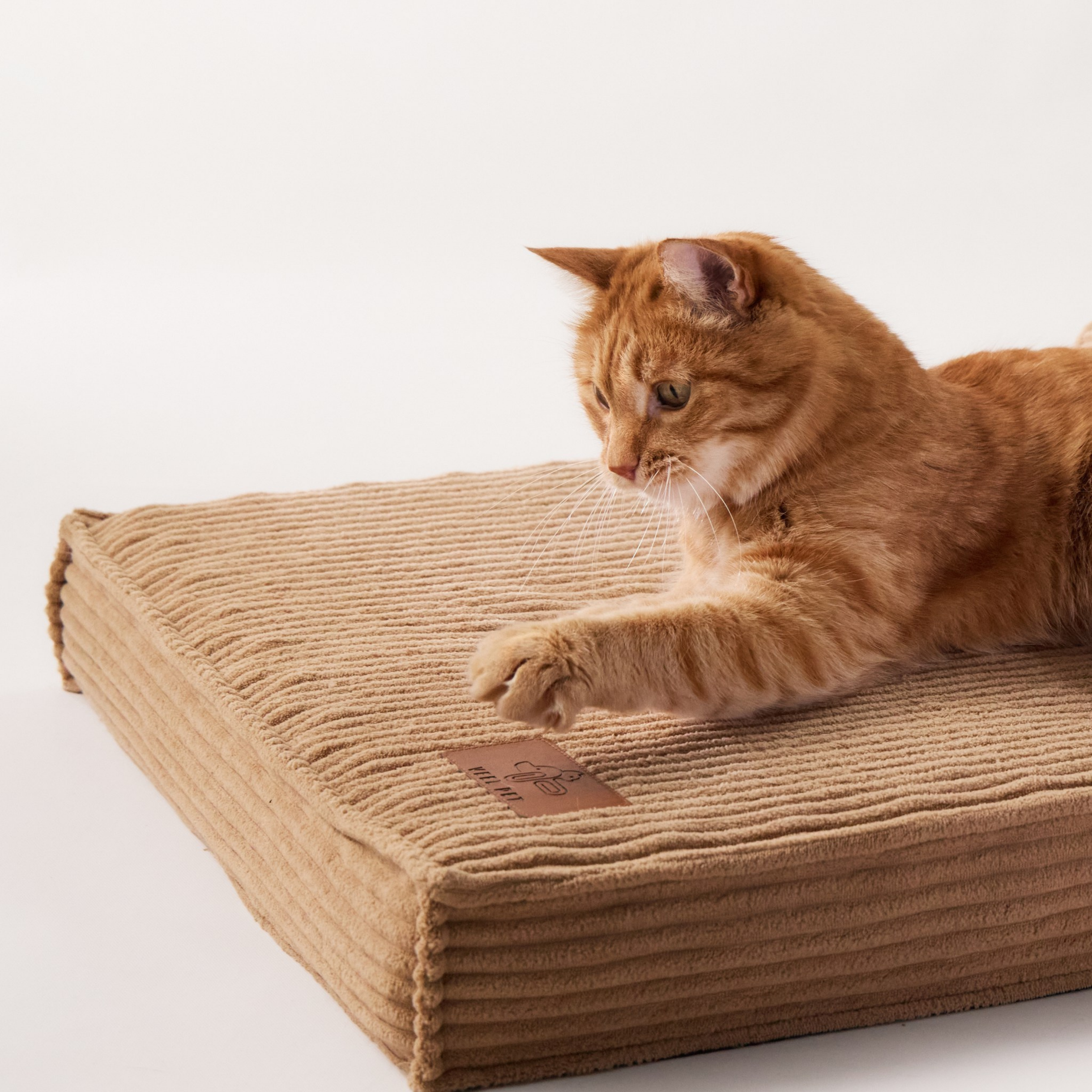 Cama Hueso Gato Small