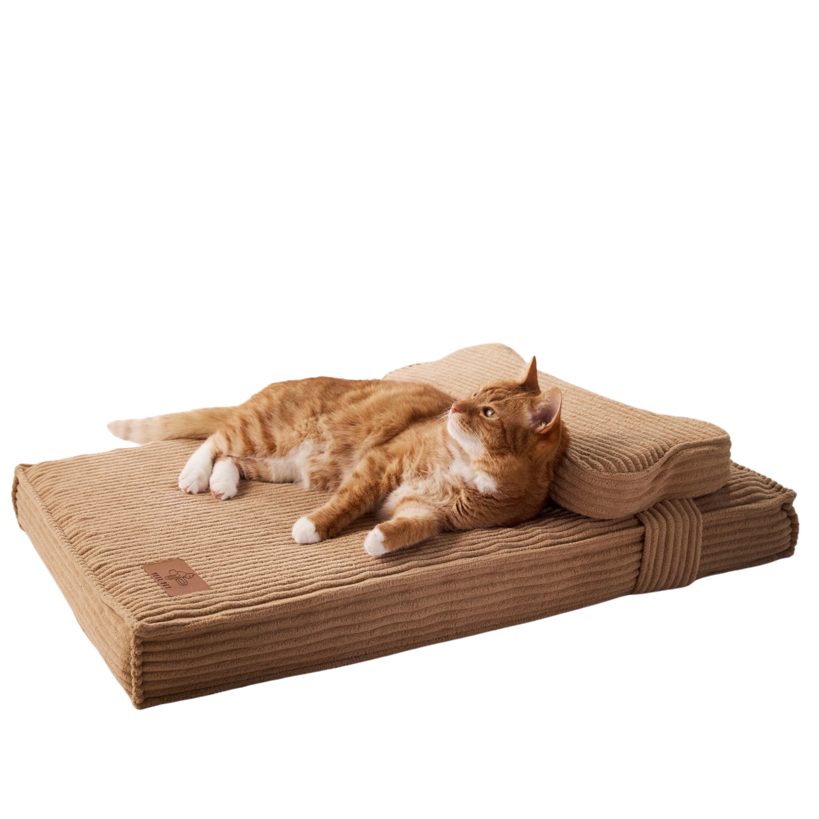 Cama Hueso Gato Small