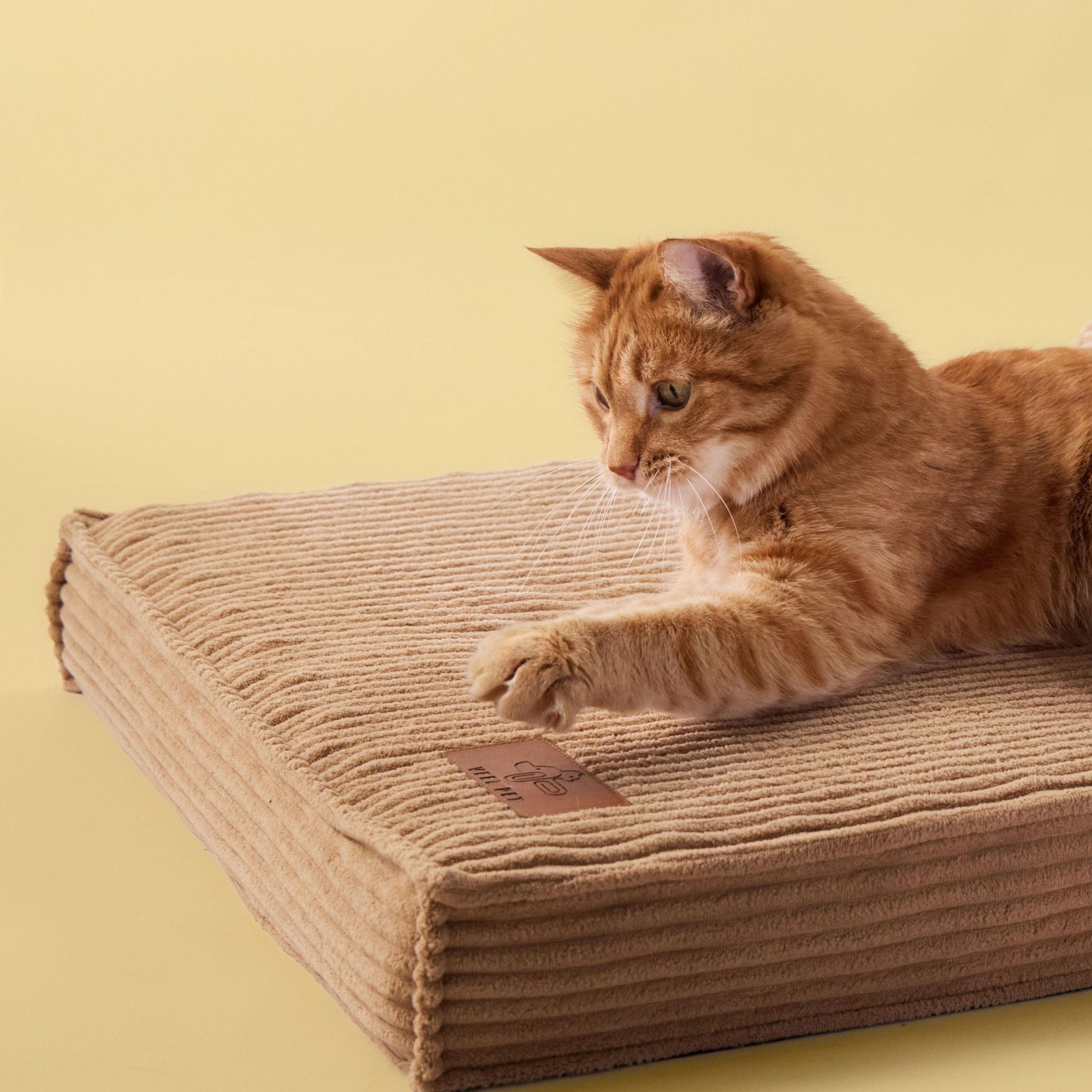 Cama Hueso Gato Medium