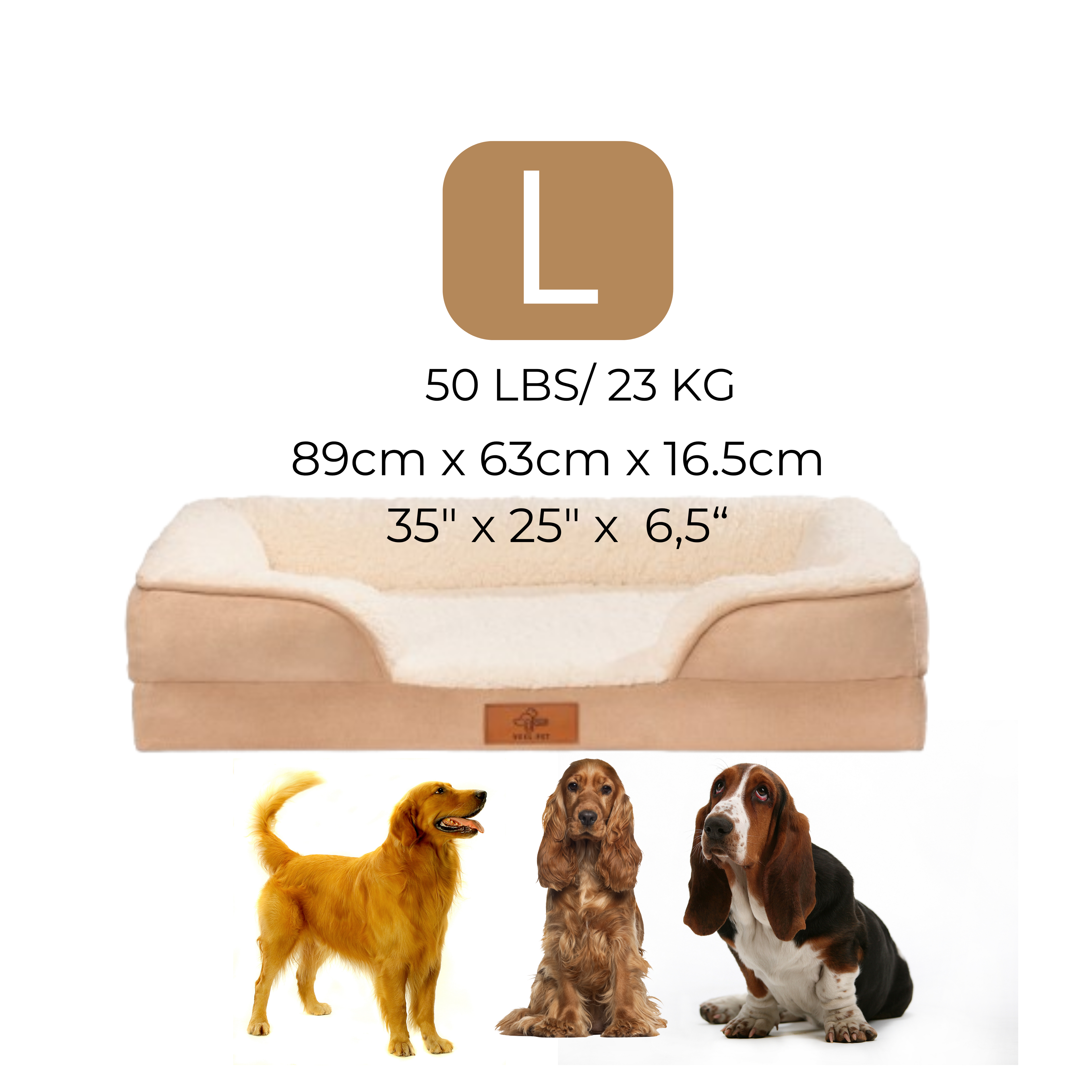 Cama Sofa LARGE