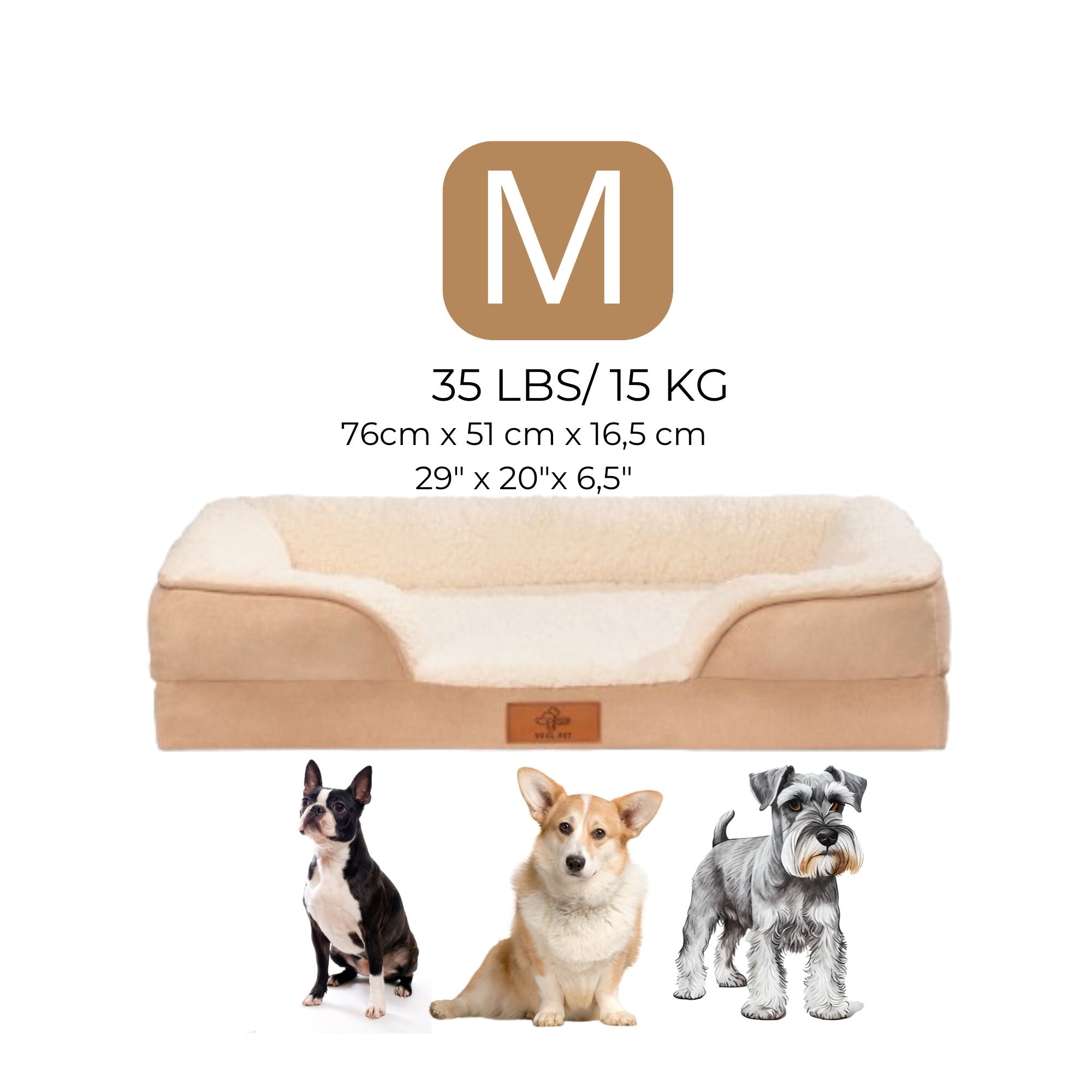 CamaSOFA Premium MEDIUM