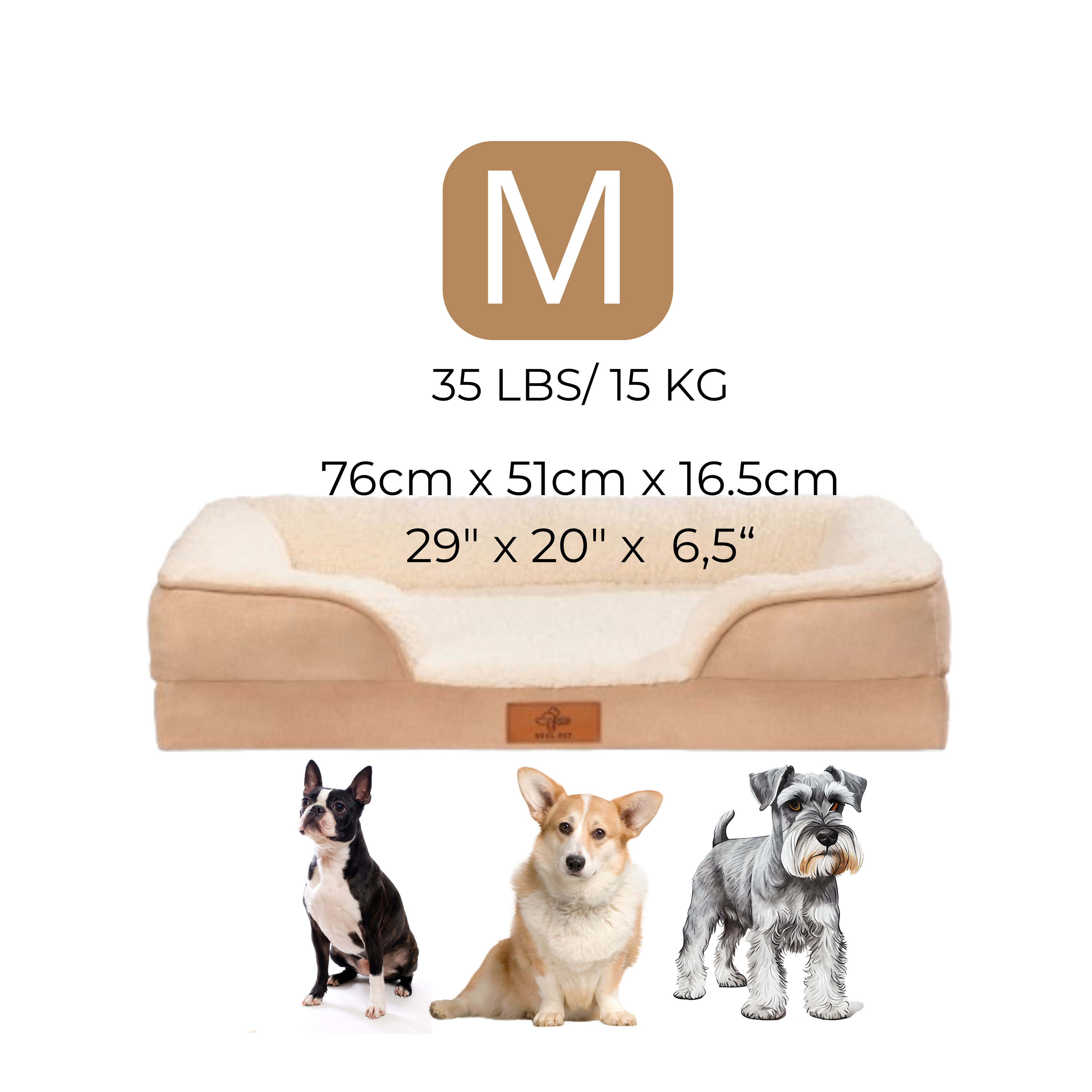 Cama Sofa MEDIUM