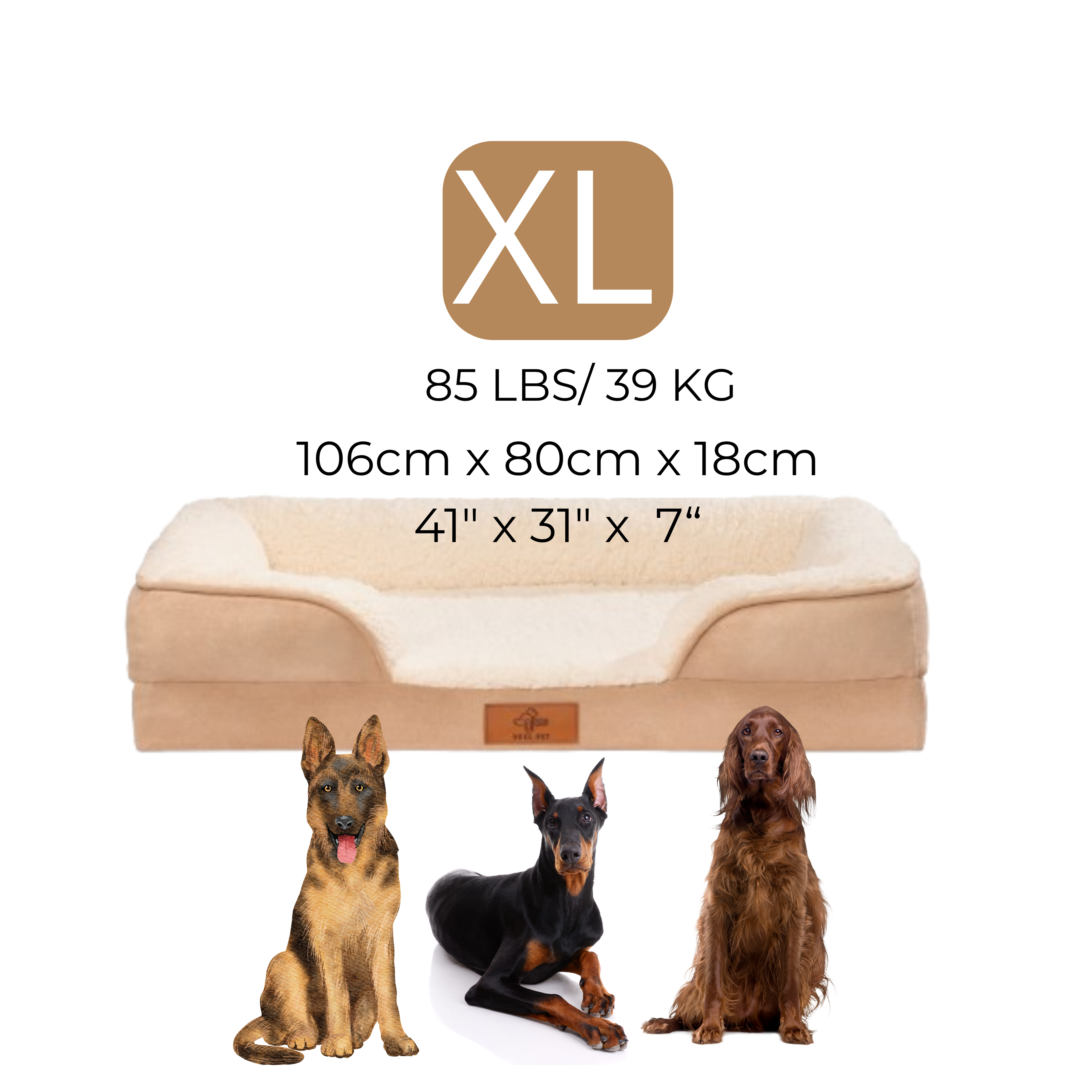 Cama Sofa X-LARGE