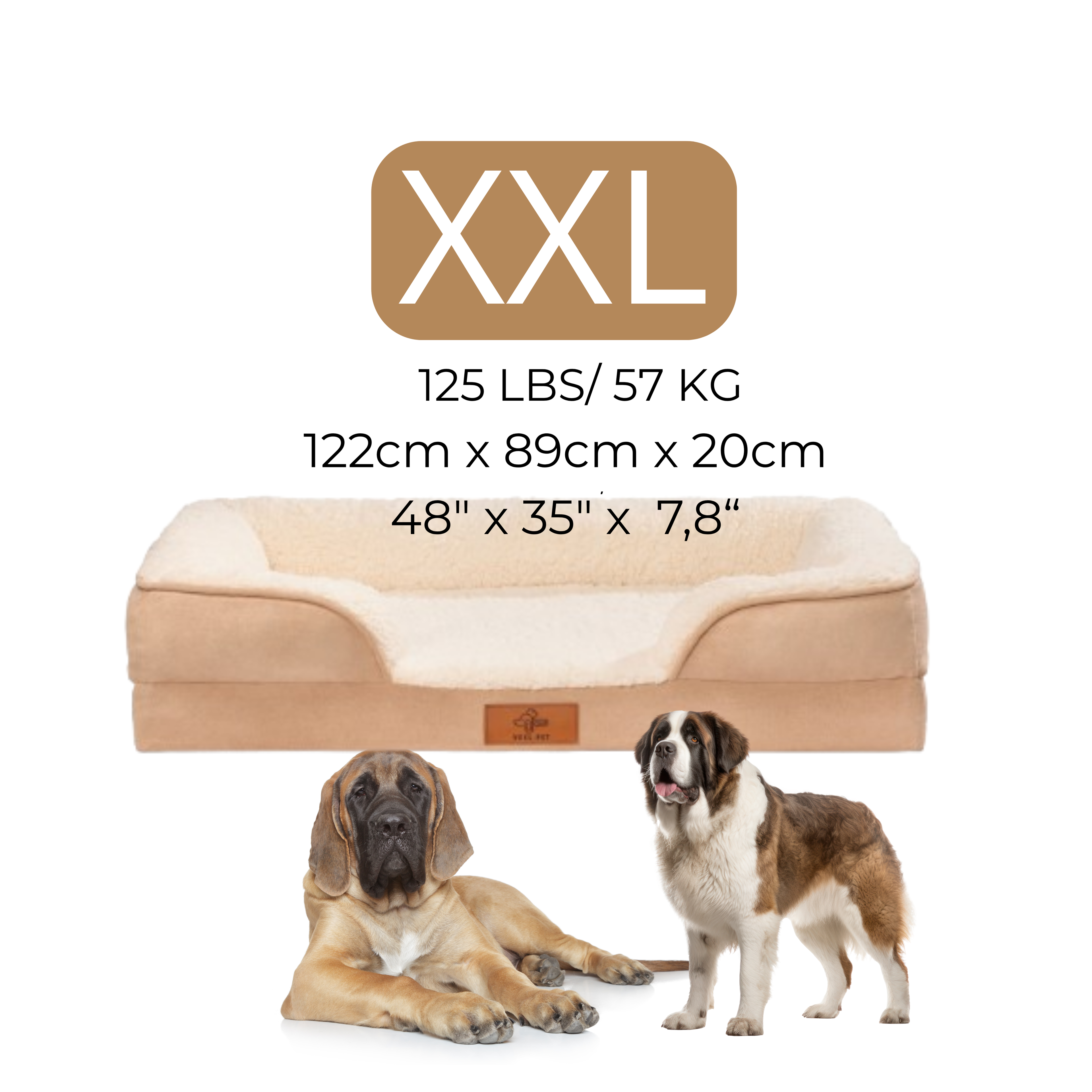 Cama Sofa XX-LARGE